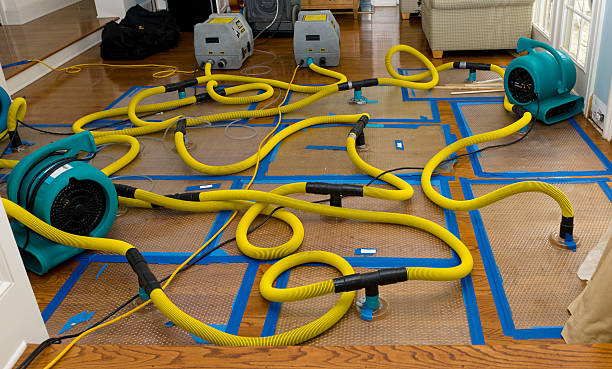 Professional Water Extraction technician working in Brighton, MA